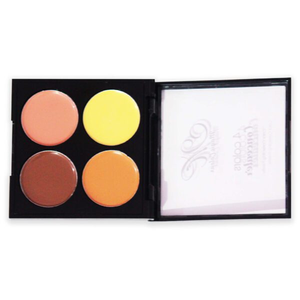 magic colour concealer cream palette