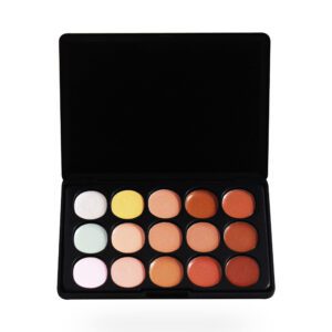 MENOW 15 Color Contour Cream Palette