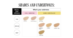 blue heaven hyper matte foundation infographic 